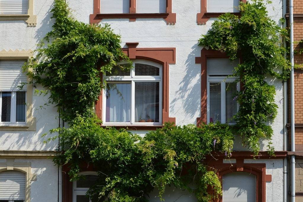 Les avantages de la fenêtre en plastique pour votre logement
